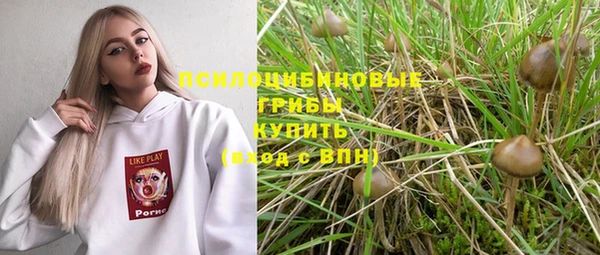 гидропоника Семилуки