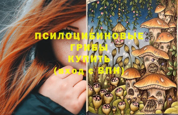 гидропоника Семилуки